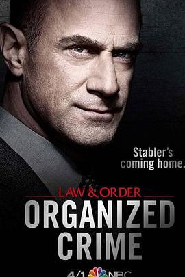 法律与秩序：组织犯罪