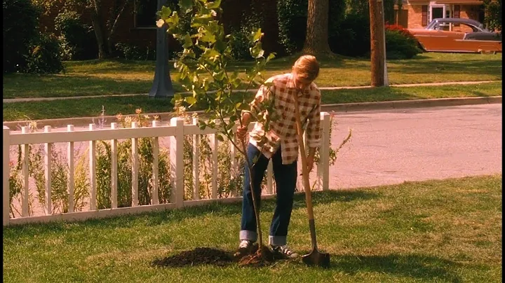 男孩为追求喜欢的女孩子，在她家门外挖了个洞，要为她种下一棵树